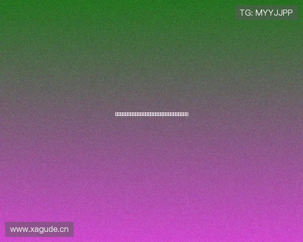 全球顶级国际登录平台解析与使用指南，畅享安全便捷的数字世界